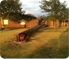 Picture of Tree Fallen on House