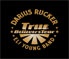 Darius Rucker Band