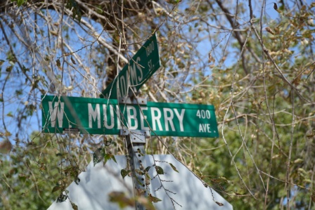 HIDDEN PARK Mulberry Street