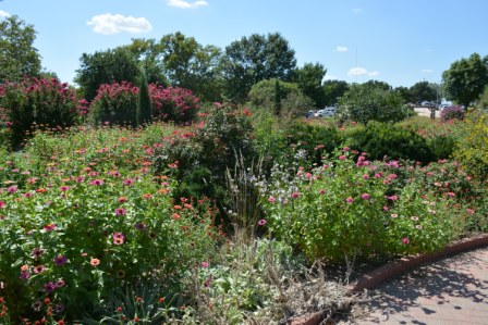 Government Springs N garden pink flowers