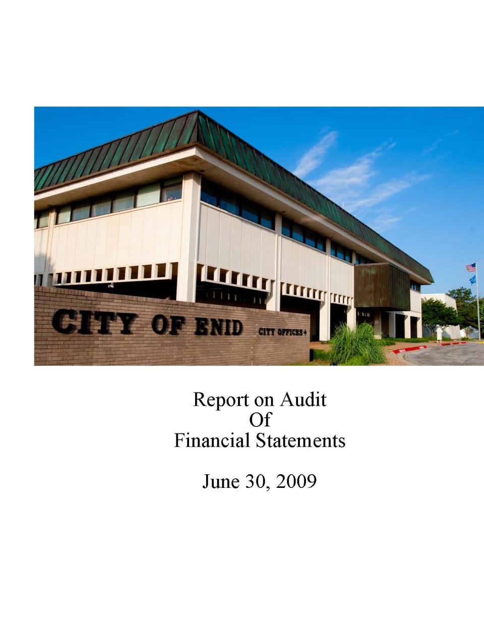 2008-2009 Audit Report