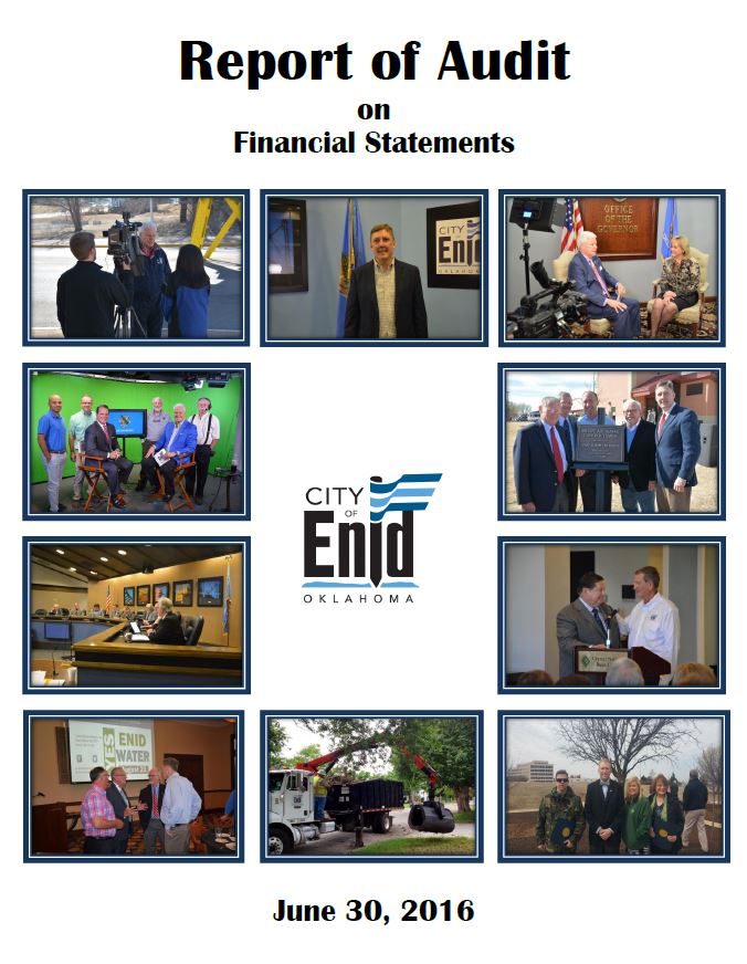 2015-2016 Audit Report Cover