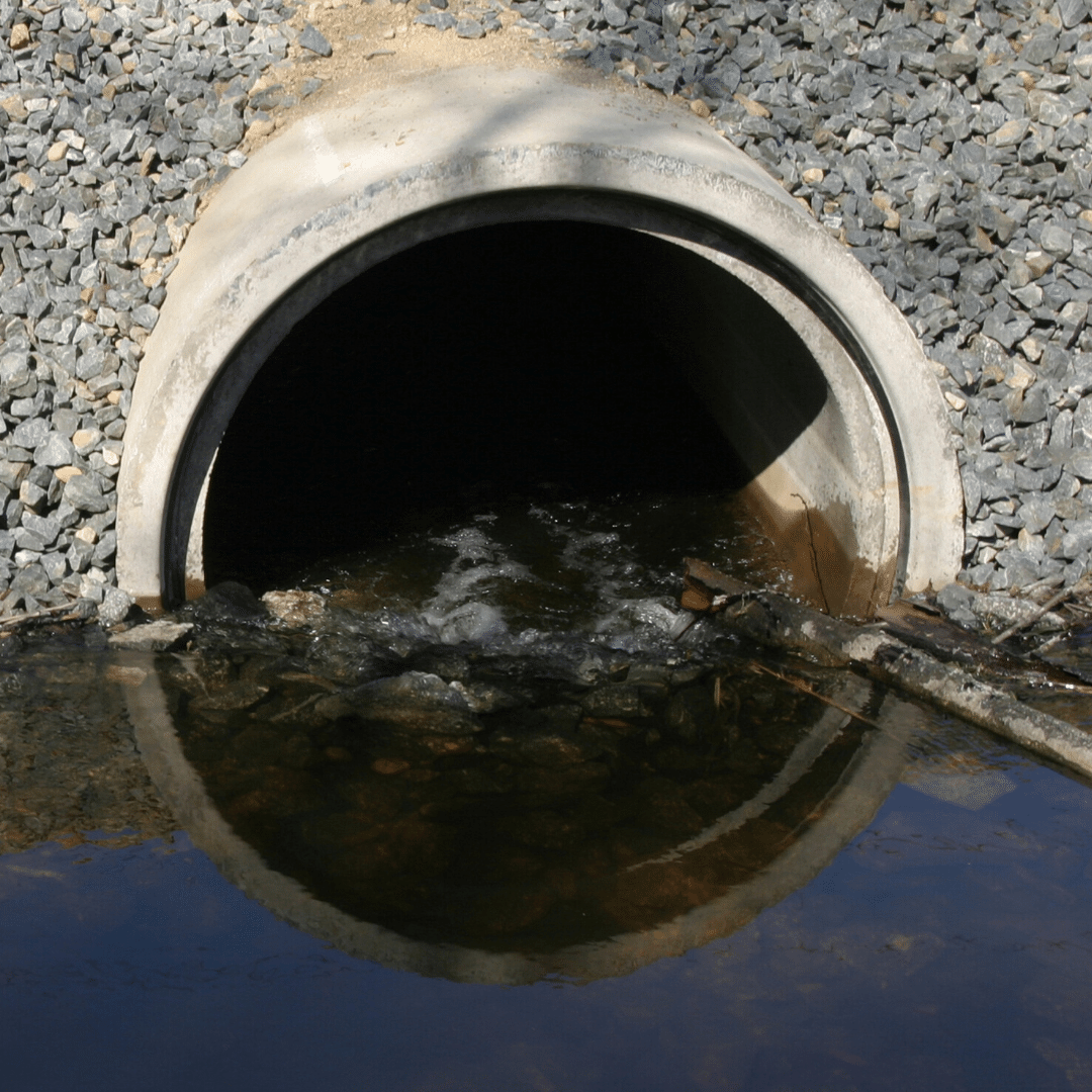 Sewer